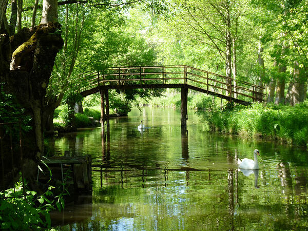 Découvrez le parc naturel du Marais Poitevin situé à proximité de Quai 3, Moulin de Jarnac