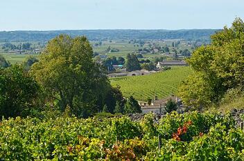 Nombreuses excursions dont visite de vignobles et domaines viticoles au départ du Moulin de Jarnac